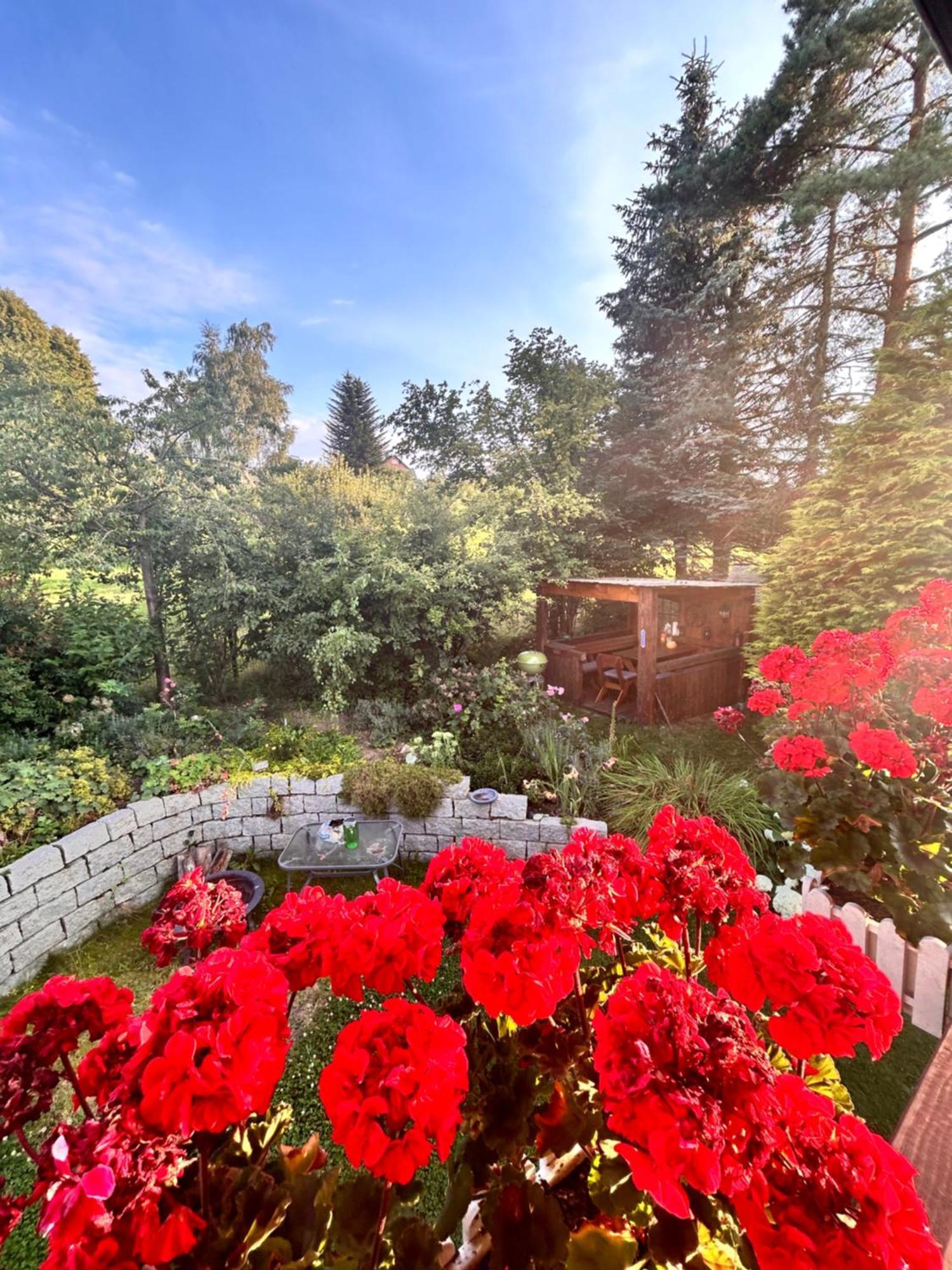 Ferienwohnung Mit Gartennutzung, Garage Und Wallbox Ebersbach-Neugersdorf Buitenkant foto